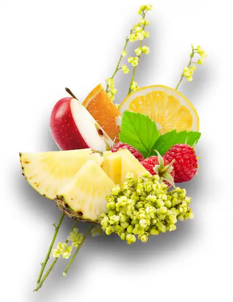 Citrus Yao Clean Fragrance Base - Clean Fragrances